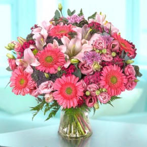 Pink Blossom 