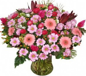 Pink Blossom 
