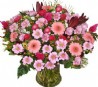 Pink Blossom 