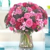 Pink Blossom 
