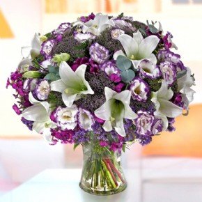 Lily & purple