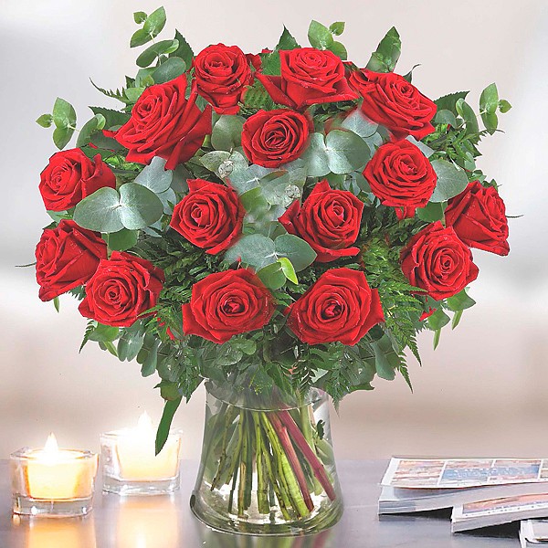 Rose Elegance 