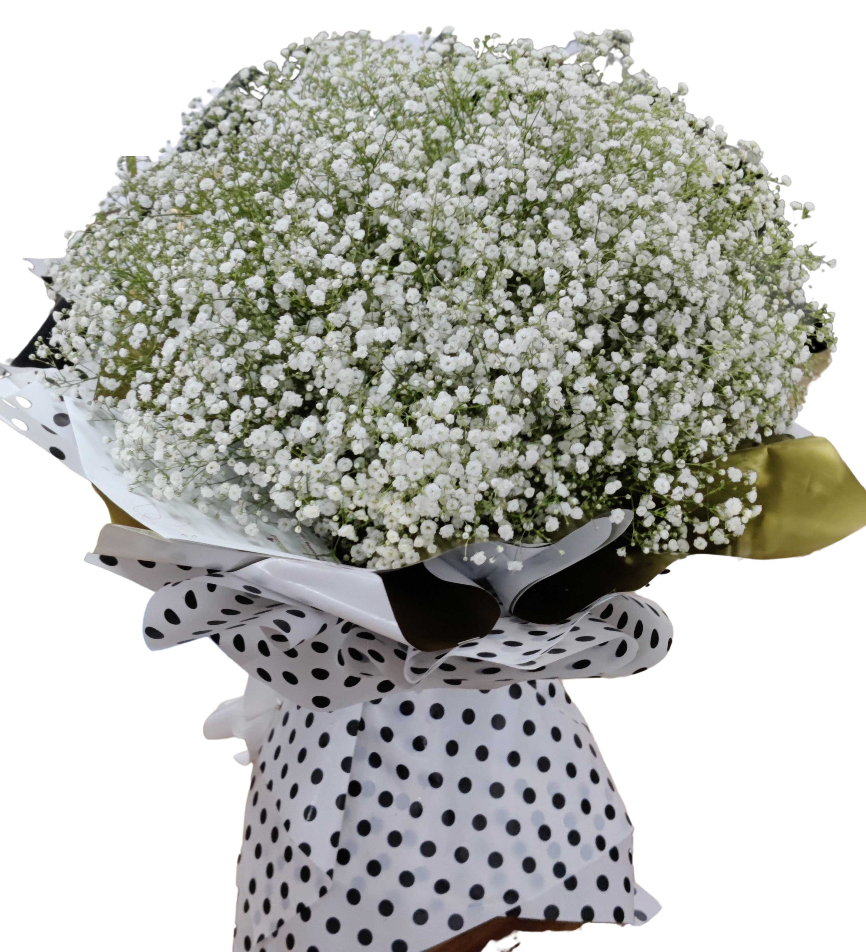 Baby S Breath Bouquet