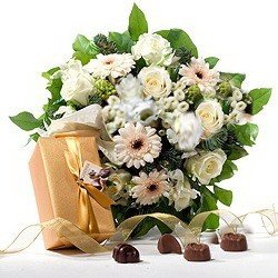 Majestic white amaryllis