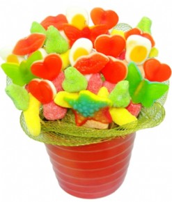 Candy