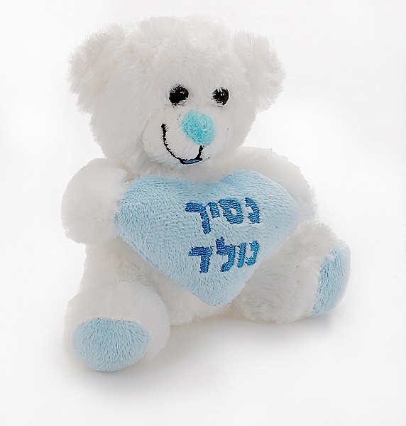  Teddy bear baby boy