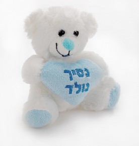  Teddy bear baby boy