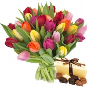 mix Tulips and Chocolates 