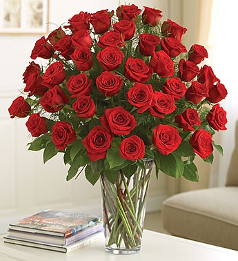Premium Red Roses